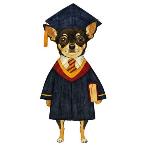 犬の幼稚園mo-no(モーノ)